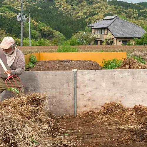 無農薬無化学肥料 葉付き新生姜 1kg | 野菜/薬味 産直アウル 農家