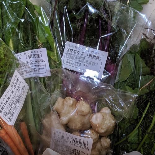 自然農法　無農薬　菊芋種芋(予約販売)100kg 11月から3月まで随時販売 自然農法 無農薬 菊芋種芋(予約販売)100kg 11月から3月まで随時販売