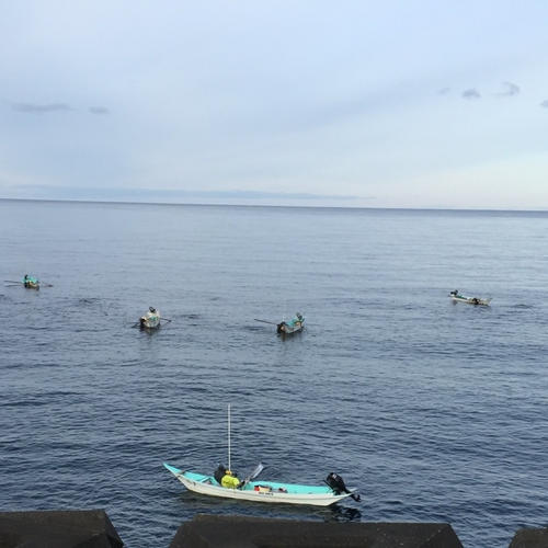 北海道産の希少な特大ほたて貝柱1kg 2Sサイズ 数量限定 | 魚介類