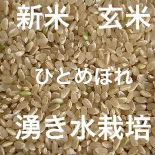 奈良県産 新米 ひとめぼれ 玄米 減農薬栽培 ｜ 米・穀物/玄米 産直