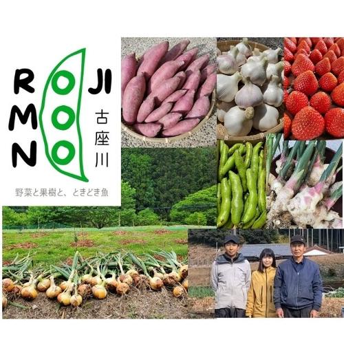 日本みつばち採りたて(生巣蜜、蜂蜜)183g＋600g×2本#8　　　　宮城県産 楽天市場】ちいさなハチからおおきなプレゼント 宮城県産日本みつばち