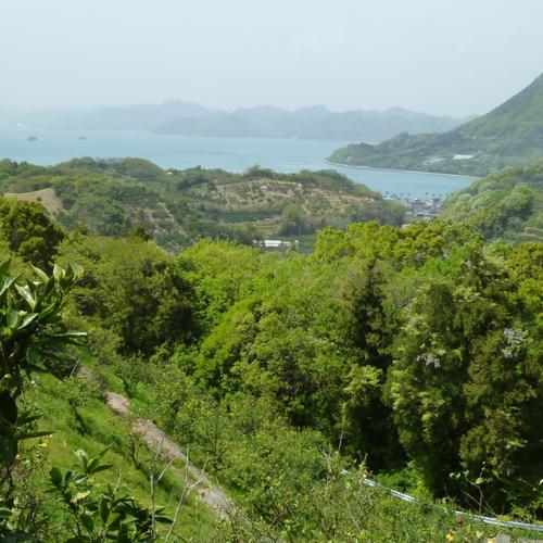 広島県産 瀬戸田レモン 2㎏ C品（訳あり） 有機JAS法準拠栽培 | 果物