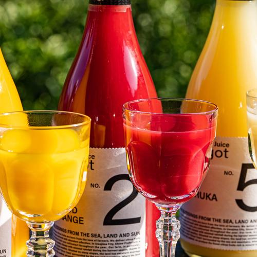 濃厚な甘みとコク 【EHIME UWAJIMA】南柑20号 Aセレクション（家庭用