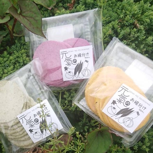 漬け物用】はやとうり 約3kg | 野菜/その他野菜 産直アウル 農家から