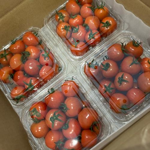 冷凍焼き芋 さつまいも紅あずま ｜ 野菜/野菜の加工品 産直アウル 農家