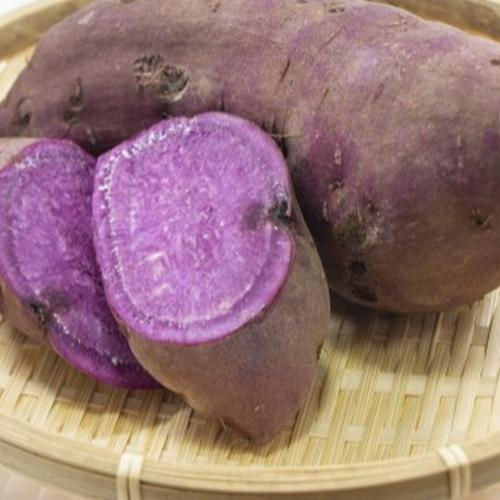 令和7年産 黒米 さよむらさき 古代米 無農薬 2kg ｜ 米・穀物/玄米