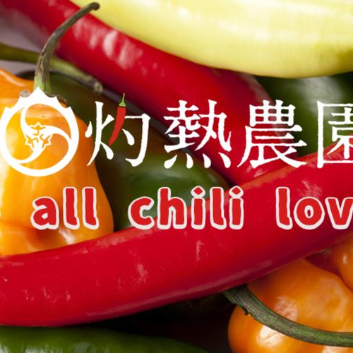 宮崎産 韓国唐辛子1kg 青唐辛子 新鮮！ 収穫後農園から直送 ｜ 野菜