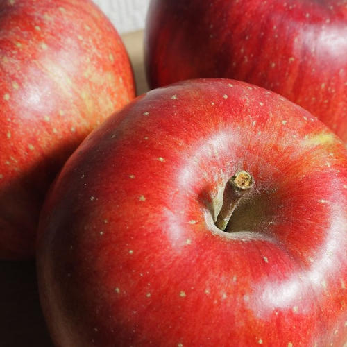 山﨑りんご農園（長野県・麻績村）｜生産者詳細｜産直アウル