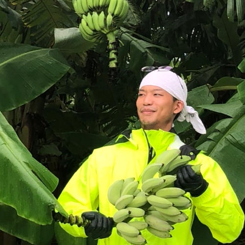 寛尚ファームのバナナ3kg ｜ 果物/バナナ 産直アウル 農家・漁師など