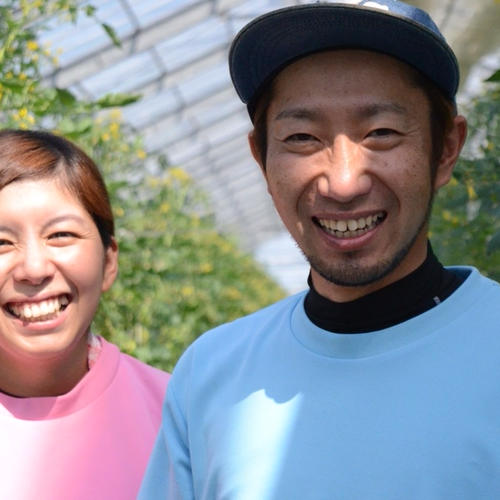 沖縄地方限定‼︎】熊本県産 完熟アイコ『おるげんとまと』 ｜ 野菜