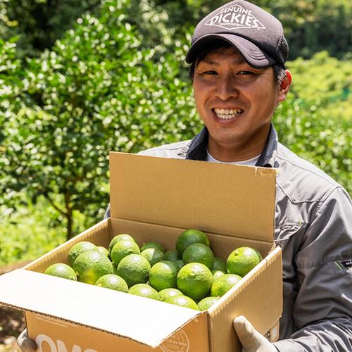 市場にはあまり出回らない】大分県宇佐市産 完熟かぼす 【お徳用】 約