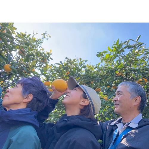 今季限定価格！9.5kg 小さめ【訳あり】八朔☆ネット販売スタート記念