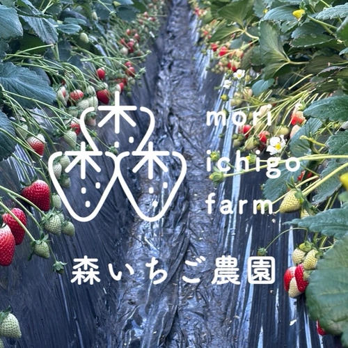 森いちご農園とちあいか -栃木県産- ｜ 果物/いちご 産直アウル 農家