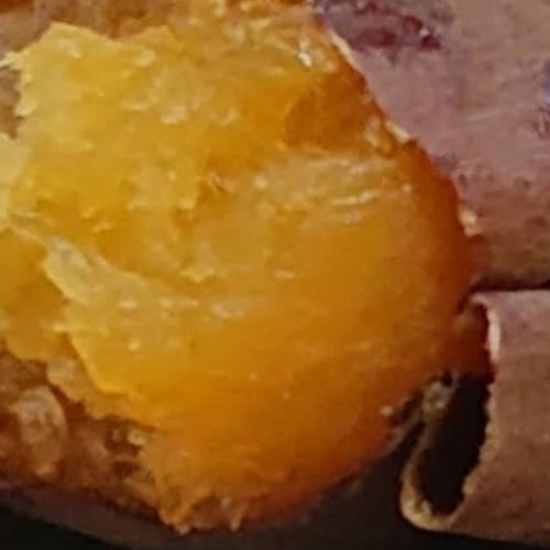 佐之衛門のすずほっくり5キロ ｜ 野菜/さつまいも 産直アウル 農家