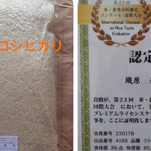 無農薬米新潟県産コシヒカリ15k | 米・穀物/米/精米 産直アウル 農家