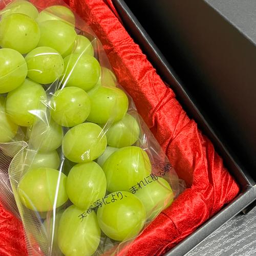 かずちゃん農園の1房700g以上の甘さ抜群のシャインマスカット