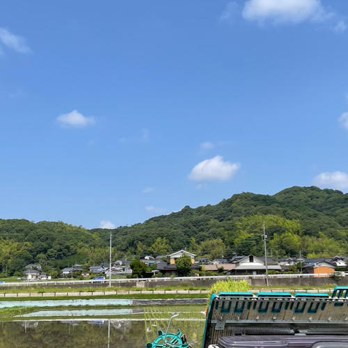 令和7年産】きぬむすめ 3kg ｜ 米・穀物/米/精米 産直アウル 農家