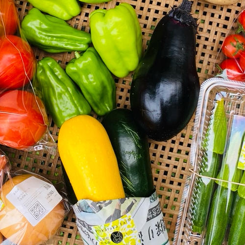 白米10キロ『化学肥料、農薬不使用コシヒカリ』自然乾燥のお米 ｜ 米