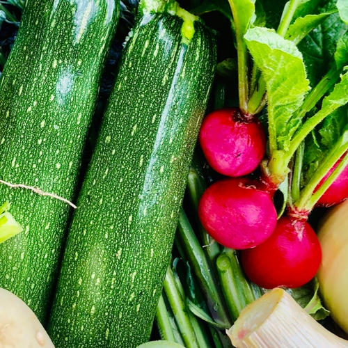 熊本県産 無農薬野菜セット ｜ 野菜/野菜セット・詰め合わせ 産直