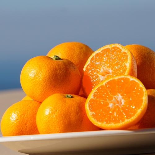 話題の柑橘！！フィンガーライム ！100g！ プチプチ食感！ | 果物/香酸