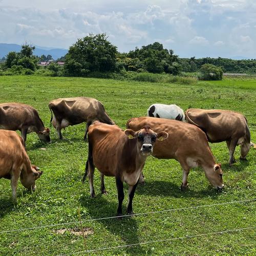 竹田牧場（富山県・富山市）｜生産者詳細｜産直アウル