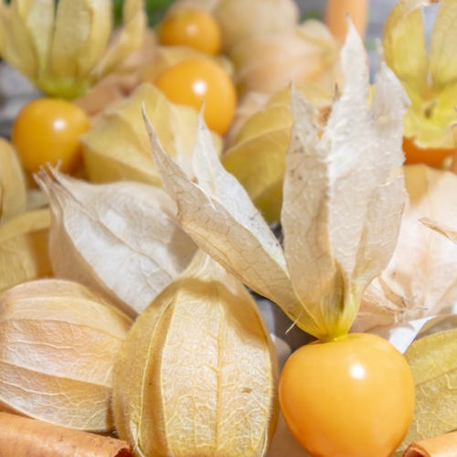 爽やかトロピカル🍊そのまま食べられるフローズンゴールデンベリー