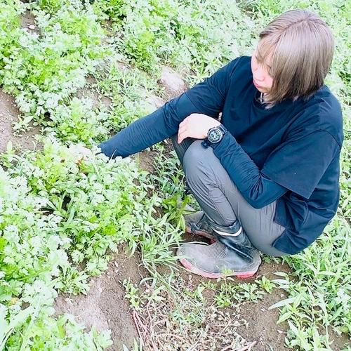 2023年香川県産！生にんにく！！ ｜ 野菜/にんにく 産直アウル 農家