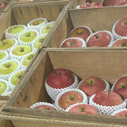 4種MIX青森県産りんごサンフジ・ぐんま名月・王林・シナノスイート