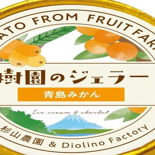 良品(ちょいキズ) 静岡みかん（青島温州みかん）5kg 2S～4Lサイズ