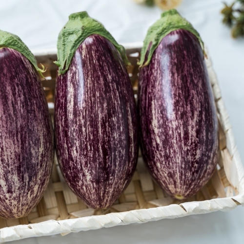 農家の食べてるお米《奈良県産ヒノヒカリ10kg》 ｜ 米・穀物/米/精米