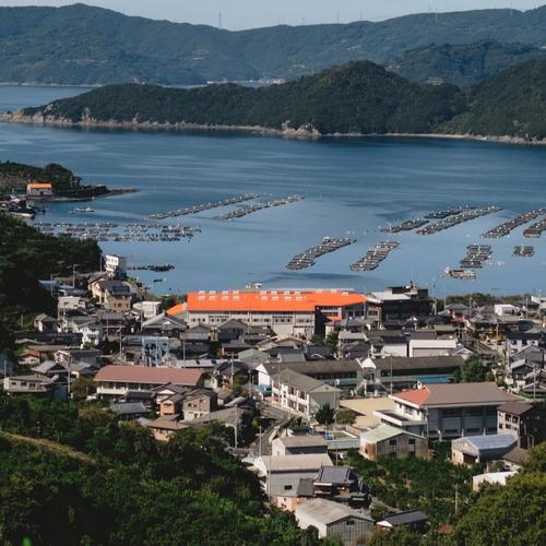 美味しさそのまま】訳あり青ゆず2kg 愛媛県産 青柚子 BLUE YUZU