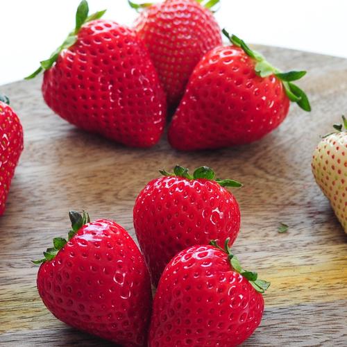 平2種食べ比べ2P（300g×2パック）2品種組み合わせ！とちぎのいちご