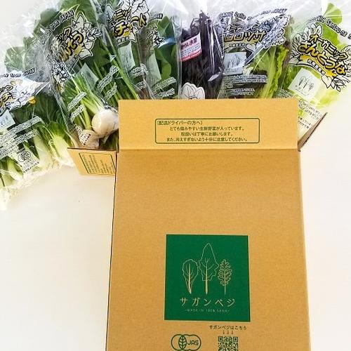 有機JASサラダミニセット7種類×1P 動物性不使用/植物性育ち ｜ 野菜
