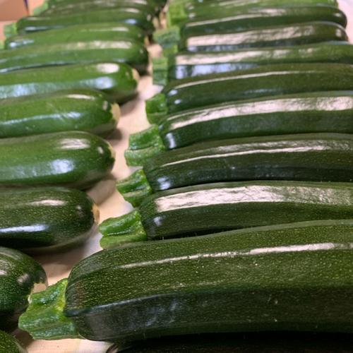 群馬県東吾妻町産【訳あり】ズッキーニ 13kg ｜ 野菜/ズッキーニ 産直