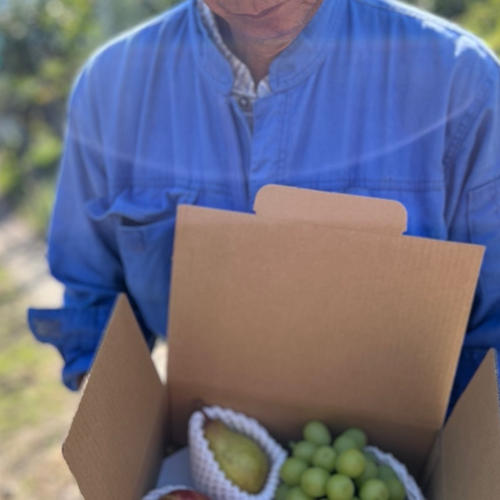 りんご紅白詰め7個〜9個入り | 果物/りんご 産直アウル 農家から直接