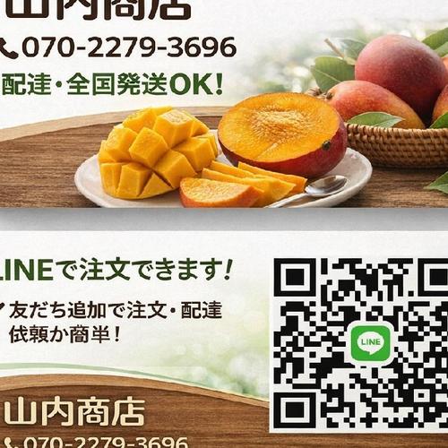 宮崎完熟マンゴー2玉約800g ｜ 果物/マンゴー 産直アウル 農家・漁師