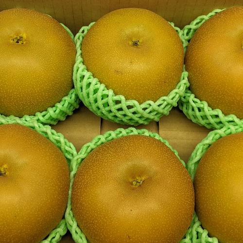 りんごB級品家庭用 | 果物/りんご 産直アウル 農家・漁師など生産者 りんごB級品家庭用 | 果物/りんご 産直アウル 農家・漁師など生産者