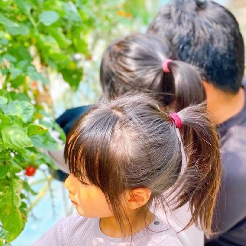 訳あり 茄子 20本 なすび ｜ 野菜/茄子 産直アウル 農家・漁師など生産