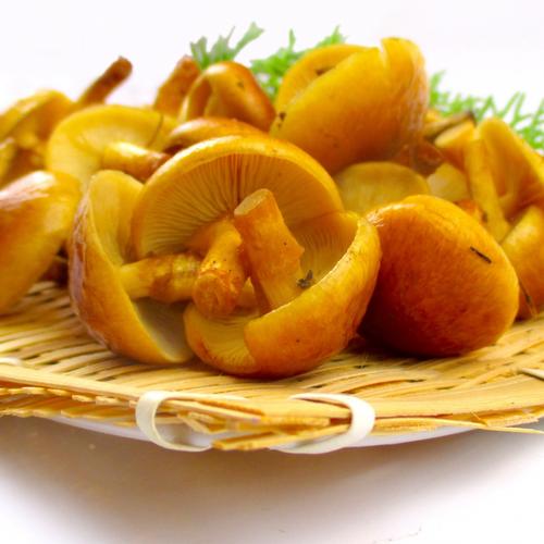 数量限定 今年は今が旬『天然松茸』100g前後 山形県産 | 野菜/きのこ