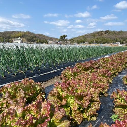 フェンスリー（岡山県・岡山市）｜生産者詳細｜産直アウル