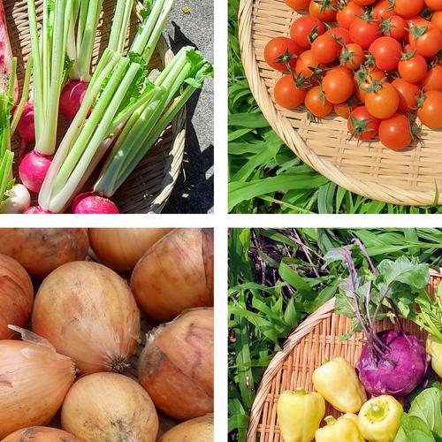 有機・規格外が特価】有機なす1.5kg+オマケ付☆【限定品】 | 野菜/茄子