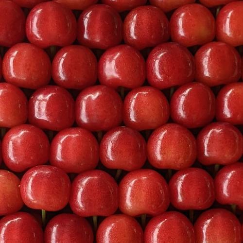 りんご訳あり現品限り8.5kg | 果物/りんご 産直アウル 農家から直接