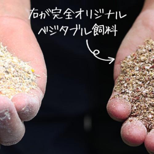 ノーカット豚スペアリブ大サイズ1.1kg以上2枚 ｜ 肉/豚肉 産直アウル