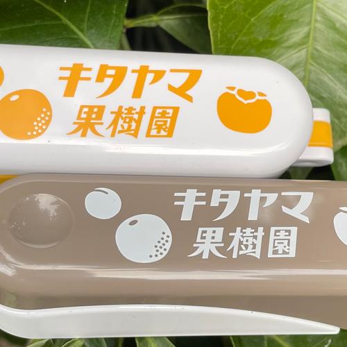 送料500円引き！ 梅酒・梅シロップに最適！ 和歌山県産希少品種 古城梅