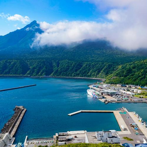 北海道産の希少な特大ほたて貝柱1kg 2Sサイズ 数量限定 | 魚介類