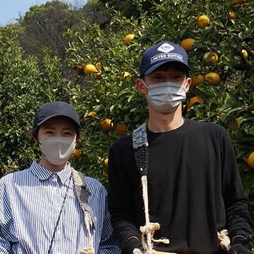 ✨️津之輝✨️つのかがやき3キロ | 果物/オレンジ・その他みかん 産直