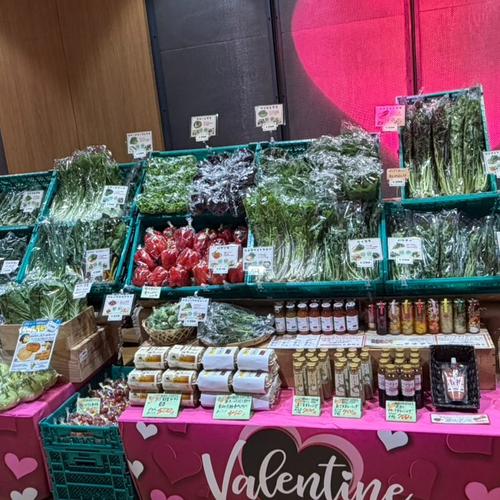 数量限定早い者勝ち！煮物や鍋料理で！伝統的京野菜 海老芋 子芋・孫芋