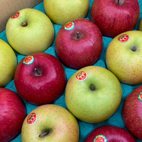 4種MIX青森県産りんご🍏🍎サンフジ・ぐんま名月・王林・シナノスイート