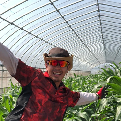 ワカイファーミーのキャッサバ芋😋🇮🇩 | 野菜/その他野菜 産直アウル