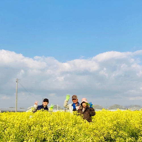 日本初！！赤いスイートコーン「大和ルージュ」 | 野菜/とうもろこし